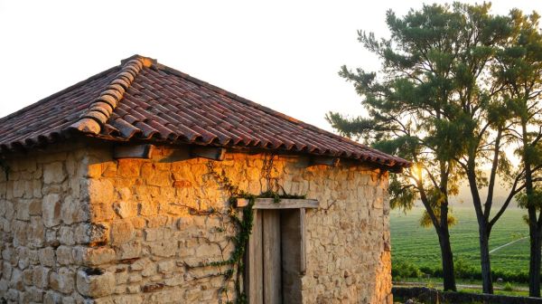 Guide essentiel pour renforcer les fondations d'une vieille maison