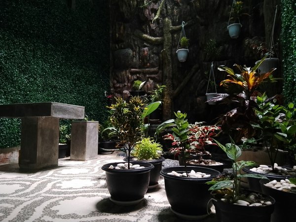 Comment créer un mini-jardin de plantes aquatiques en utilisant des conteneurs?